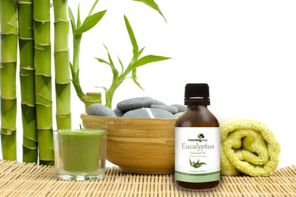 Benefits of Eucalyptus Supplements